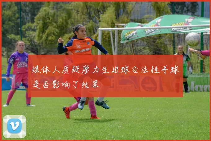 媒体人质疑廖力生进球合法性手球是否影响了结果