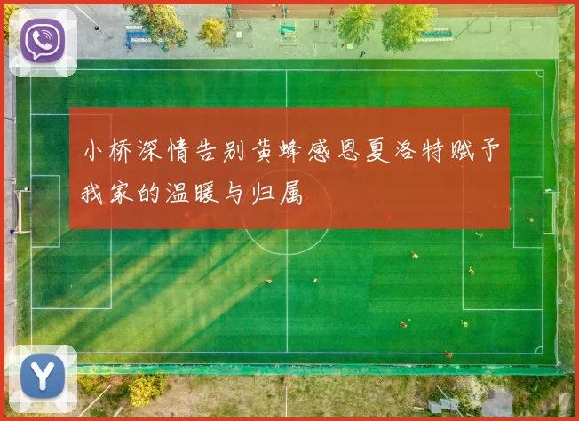 小桥深情告别黄蜂感恩夏洛特赋予我家的温暖与归属
